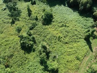 Amplio terreno agrícola ideal para cultivos, ganadería o inversión productiva #26-1702 GS
