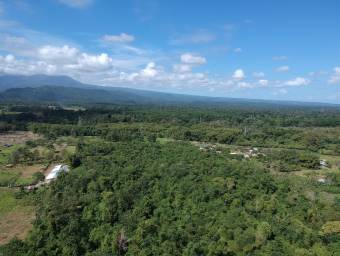 Amplio terreno agrícola ideal para cultivos, ganadería o inversión productiva #26-1702 GS Amplio terreno agrícola ideal para cultivos, ganadería o inversión productiva #26-1702 GS