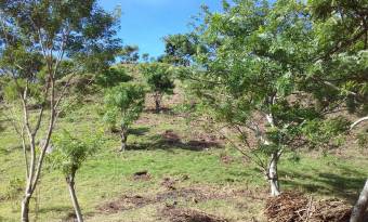 Massive Mountain Estate for sale. Salitral Santa Ana Costa Rica.