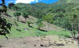 Massive Mountain Estate for sale. Salitral Santa Ana Costa Rica.