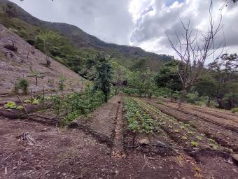 Massive Mountain Estate for sale. Salitral Santa Ana Costa Rica.
