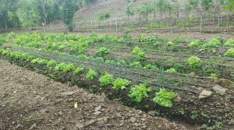 Massive Mountain Estate for sale. Salitral Santa Ana Costa Rica.