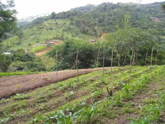 Massive Mountain Estate for sale. Salitral Santa Ana Costa Rica.