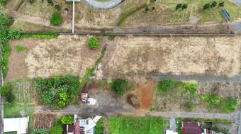 VENTA DE SEIS LOTES, LIMON, ROXANA, CARIARI POCOCI 9791044