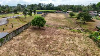 VENTA DE SEIS LOTES, LIMON, ROXANA, CARIARI POCOCI 9791044