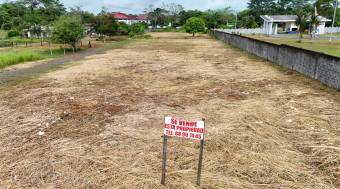 VENTA DE SEIS LOTES, LIMON, ROXANA, CARIARI POCOCI 9791044