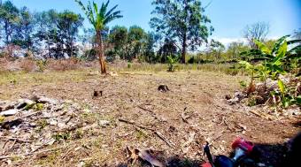 Se vende casa con lote de más de 4100 m2 en San Pablo Heredia 26-1520 Se vende casa con lote de más de 4100 m2 en San Pablo Heredia 26-1520