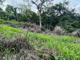 Se vende lote de más de 4600 m2 en Mora Colón 26-1801 Se vende lote de más de 4600 m2 en Mora Colón 26-1801