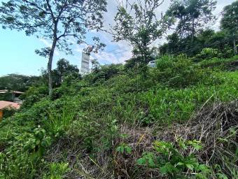 Se vende lote de más de 4600 m2 en Mora Colón 26-1801 Se vende lote de más de 4600 m2 en Mora Colón 26-1801