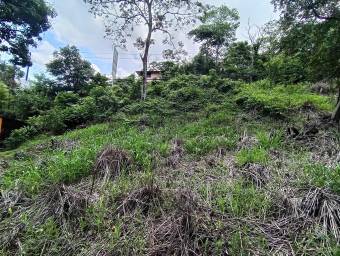 Se vende lote de más de 4600 m2 en Mora Colón 26-1801 Se vende lote de más de 4600 m2 en Mora Colón 26-1801