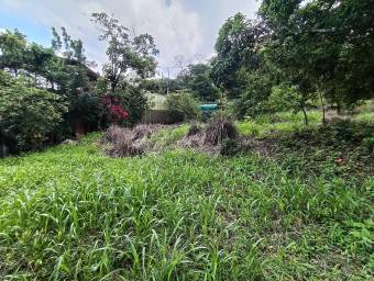 Se vende lote de más de 4600 m2 en Mora Colón 26-1801 Se vende lote de más de 4600 m2 en Mora Colón 26-1801