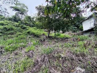 Se vende lote de más de 4600 m2 en Mora Colón 26-1801 Se vende lote de más de 4600 m2 en Mora Colón 26-1801