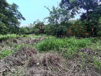 Se vende lote de más de 4600 m2 en Mora Colón 26-1801 Se vende lote de más de 4600 m2 en Mora Colón 26-1801