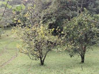 Venta de Lote en Poás, Alajuela. RAH 26-835 PRECIO REBAJADO