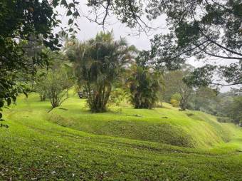 Venta de Lote en Poás, Alajuela. RAH 26-835 PRECIO REBAJADO