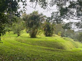 Venta de Lote en Poás, Alajuela. RAH 26-835 PRECIO REBAJADO