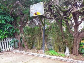 Terreno con gran oportunidad de inversión #26-700 GS