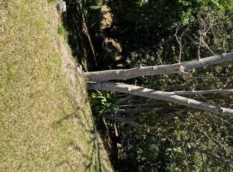 De oportunidad finca de recreación árboles frutales información al teléfono 85683261