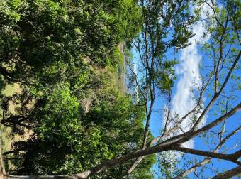 De oportunidad finca de recreación árboles frutales información al teléfono 85683261