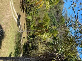 De oportunidad finca de recreación árboles frutales información al teléfono 85683261