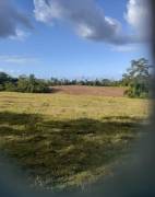 Se vende finca 35 herctarias inf.al teléfono.85683261