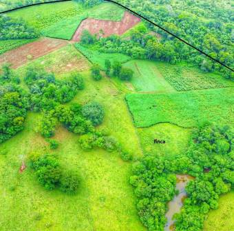 Se vende finca 35 herctarias inf.al teléfono.85683261