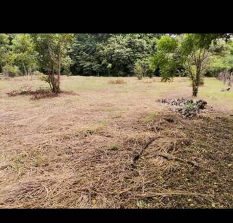 Venta de Lote en Carrillo-Belén, Guanacaste. RAH 25-1061