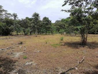 Venta de Lote en Carrillo-Belén, Guanacaste. RAH 25-1061