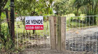 VENTA DE TERRENO l CARIBLANCO - SARAPIQUI l ALAJUELA l PRECIO NEGOCIABLE.