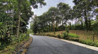 VENTA DE TERRENO l CARIBLANCO - SARAPIQUI l ALAJUELA l PRECIO NEGOCIABLE.