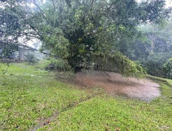 VENTA DE TERRENO l CARIBLANCO - SARAPIQUI l ALAJUELA l PRECIO NEGOCIABLE.