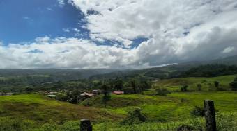 VENTA DE TERRENO l CARIBLANCO - SARAPIQUI l ALAJUELA l PRECIO NEGOCIABLE.