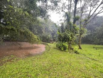 VENTA DE TERRENO l CARIBLANCO - SARAPIQUI l ALAJUELA l PRECIO NEGOCIABLE.