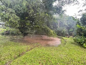 VENTA DE TERRENO l CARIBLANCO - SARAPIQUI l ALAJUELA l PRECIO NEGOCIABLE.