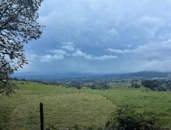 VENTA DE TERRENO l CARIBLANCO - SARAPIQUI l ALAJUELA l PRECIO NEGOCIABLE.