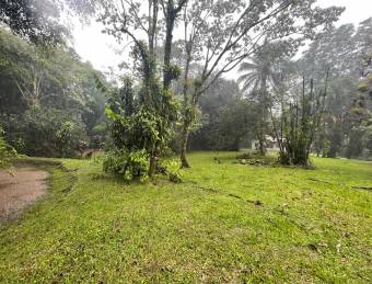 VENTA DE TERRENO l CARIBLANCO - SARAPIQUI l ALAJUELA l PRECIO NEGOCIABLE.