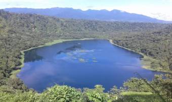 VENTA DE TERRENO l CARIBLANCO - SARAPIQUI l ALAJUELA l PRECIO NEGOCIABLE.