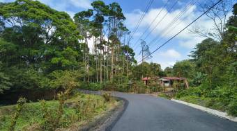 VENTA DE TERRENO l CARIBLANCO - SARAPIQUI l ALAJUELA l PRECIO NEGOCIABLE.