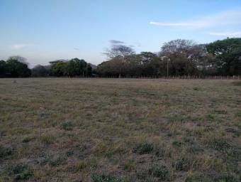 Venta de Lote Plano en Nicoya-San Antonio de Guanacaste. RAH 25-422 PRECIO REBAJADO