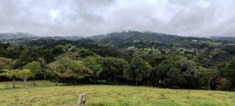 MLS-26-1131 LS VENTA LOTE SAN RAFAEL HEREDIA