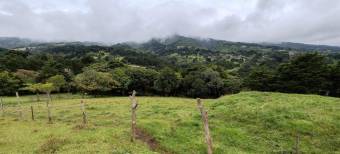 MLS-26-1131 LS VENTA LOTE SAN RAFAEL HEREDIA