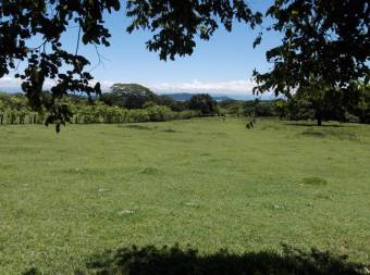 Description La finca tiene dentro de sus atractivos, un naciente o fuente de agua, tiene 2500 árbole