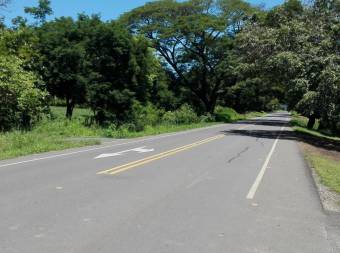 Description La finca tiene dentro de sus atractivos, un naciente o fuente de agua, tiene 2500 árbole Description La finca tiene dentro de sus atractivos, un naciente o fuente de agua, tiene 2500 árbole