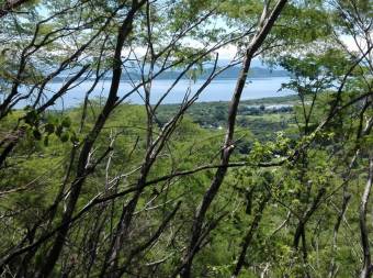 Description La finca tiene dentro de sus atractivos, un naciente o fuente de agua, tiene 2500 árbole Description La finca tiene dentro de sus atractivos, un naciente o fuente de agua, tiene 2500 árbole