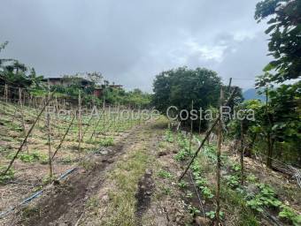 Venta de Lote en Paraíso-Santiago de Cartago. RAH 26-1480 Venta de Lote en Paraíso-Santiago de Cartago. RAH 26-1480
