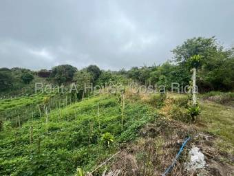 Venta de Lote en Paraíso-Santiago de Cartago. RAH 26-1480 Venta de Lote en Paraíso-Santiago de Cartago. RAH 26-1480