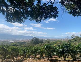 Espectacular finca cafetalera con vistas al Valle Central en San Pablo de Heredia #25-1394 GS