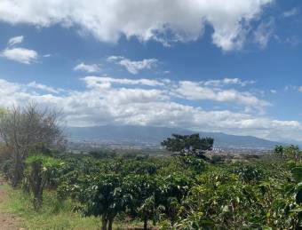 Espectacular finca cafetalera con vistas al Valle Central en San Pablo de Heredia #25-1394 GS