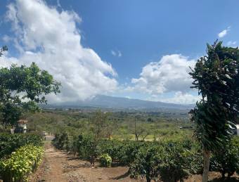 Espectacular finca cafetalera con vistas al Valle Central en San Pablo de Heredia #25-1394 GS
