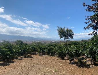 Espectacular finca cafetalera con vistas al Valle Central en San Pablo de Heredia #25-1394 GS